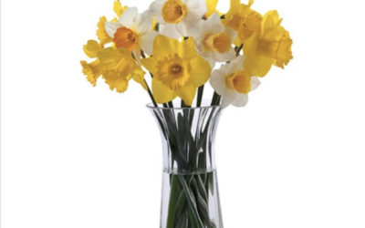 Daffodils 🌼